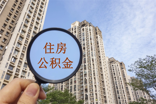 浚县辞职多久公积金可以全部取出来吗（辞职之后公积金多长时间可以取）